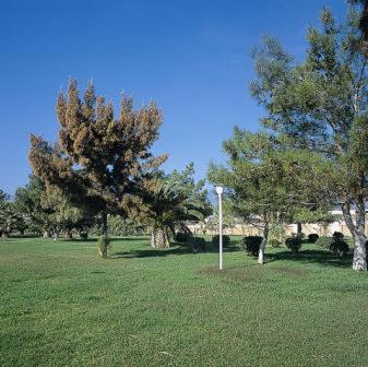 Nafsika Beach Delphi-Itea Exterior photo